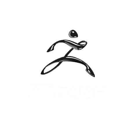 Logo ZBrush con una figura umana stilizzata e astratta in nero sopra il testo ZBrush su uno sfondo chiaro, ideale per un'agenzia di marketing in Alto Adige alla ricerca di un marchio creativo.
