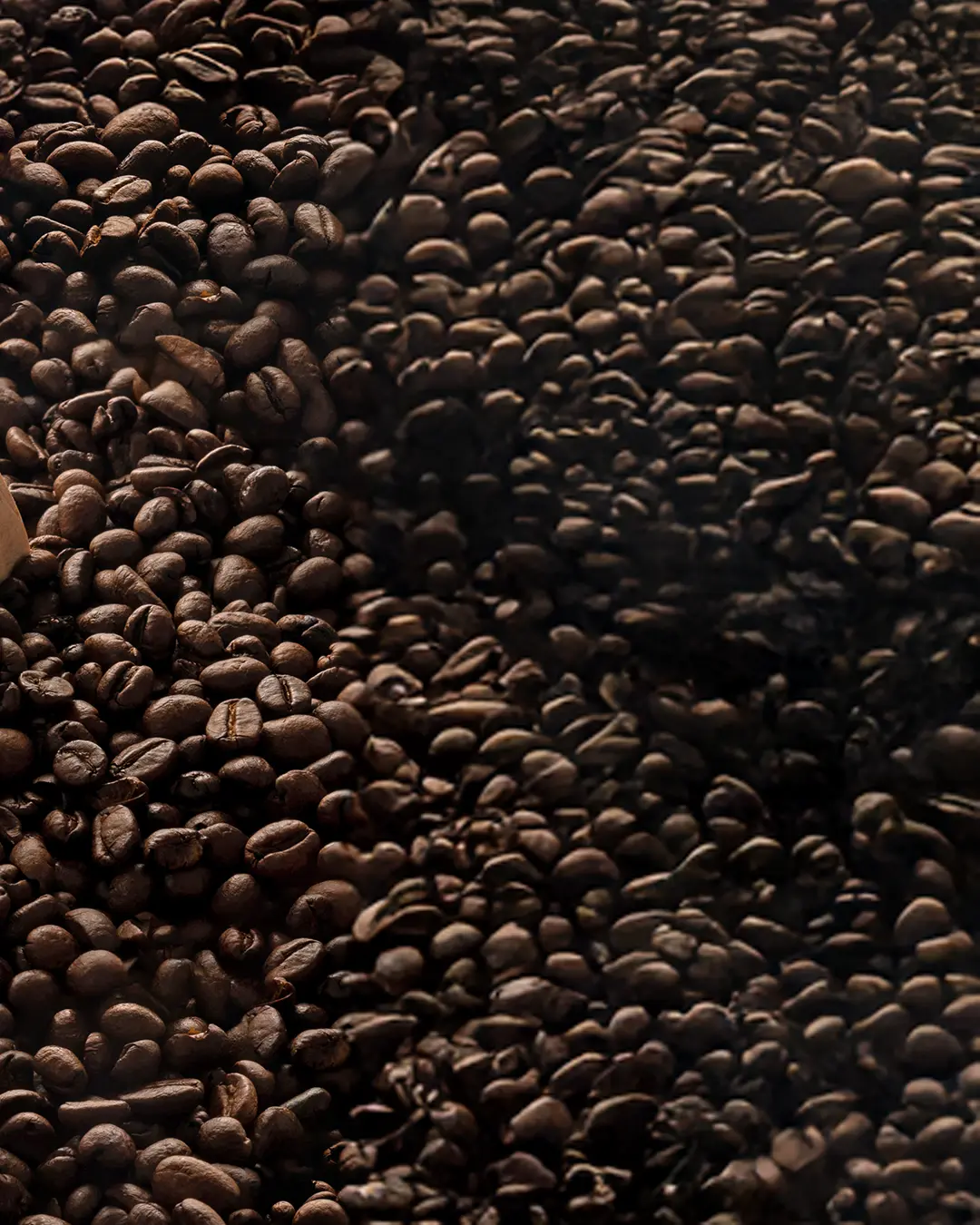 Primo piano di un grande mucchio di chicchi di caffè tostati, densamente impacchettati, che mostrano la loro superficie lucida e marrone scuro e le loro forme variegate.