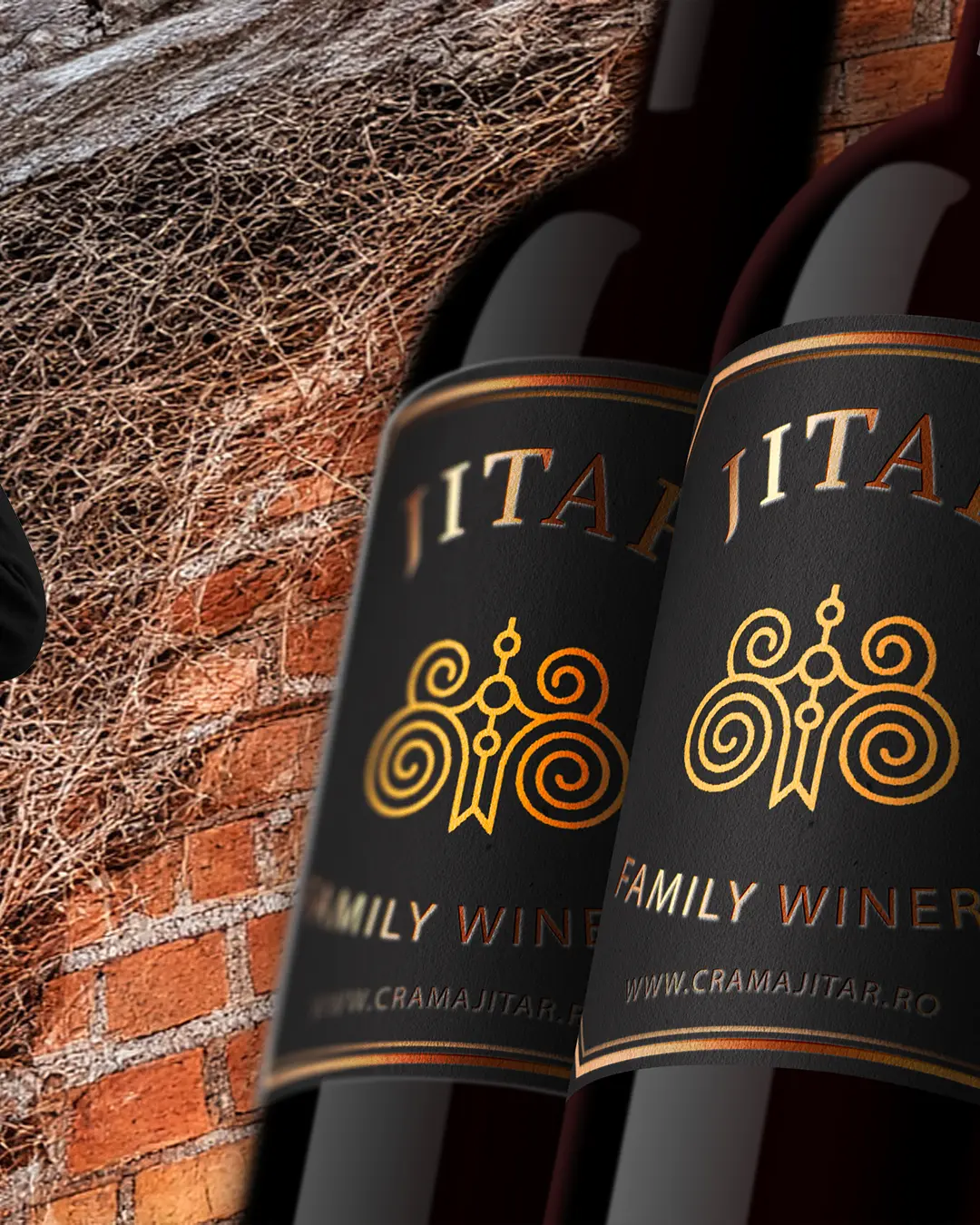 Due bottiglie di vino con etichetta nera e oro della Jitar Family Winery sono raffigurate davanti a un muro di mattoni con viti secche. L'etichetta presenta un emblema decorativo in oro e il sito web www.cramajitar.ro.